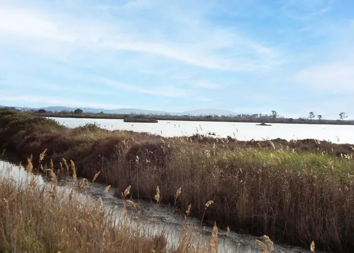 Mont Des Oiseaux By Interhome Appartement Hyères